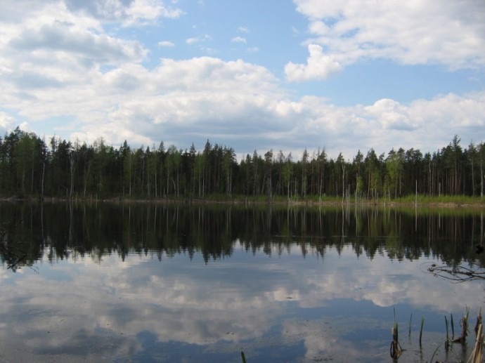 Jezero Surzi